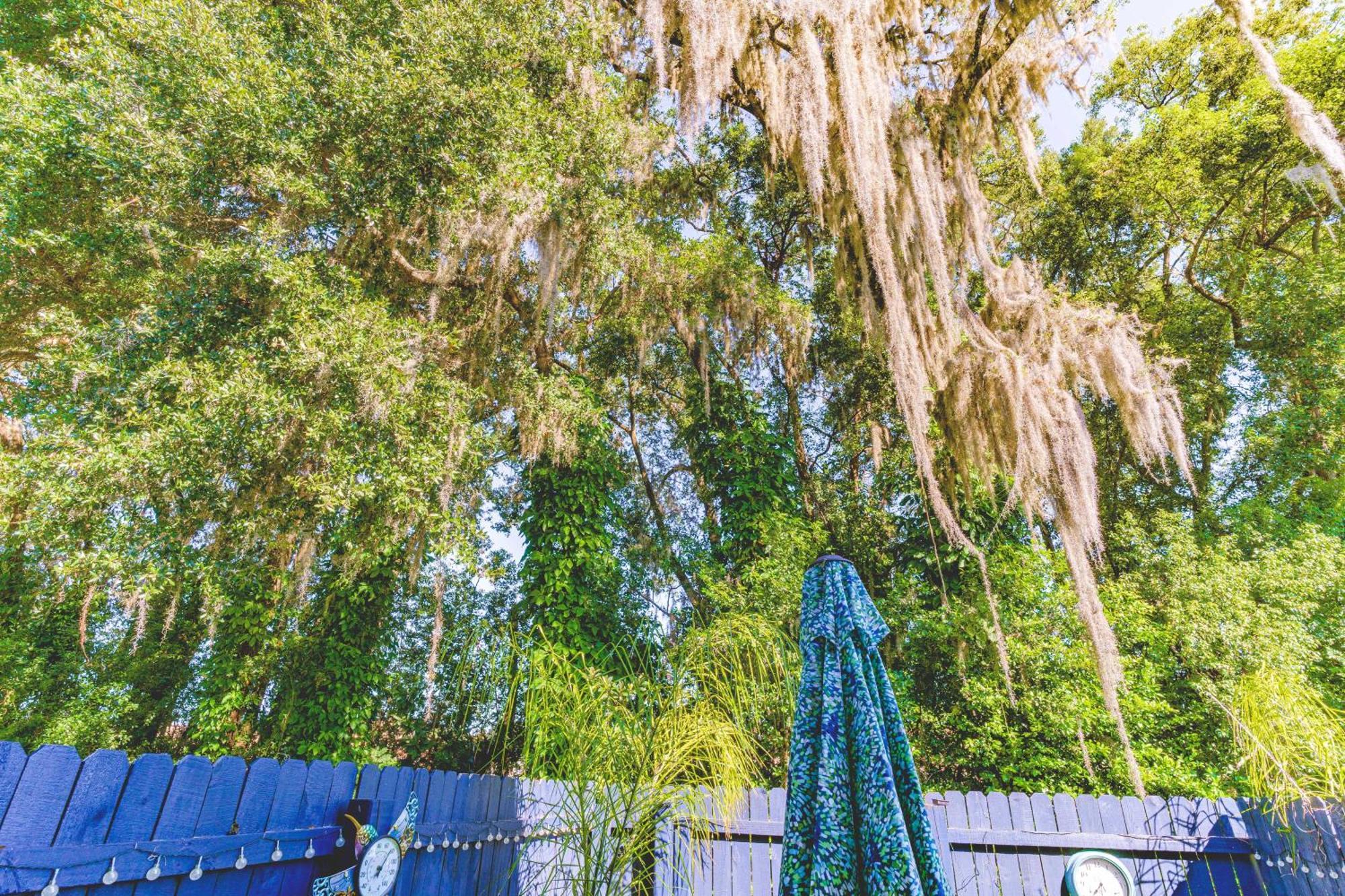 Hotel The Estate At Mt Dora à Mount Dora Extérieur photo